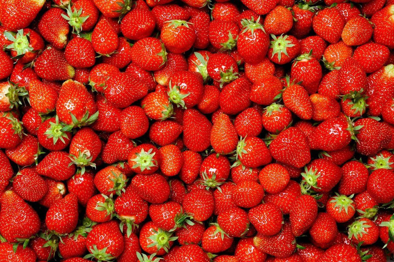 657255121_1387463586517302_8854909028311059109_n