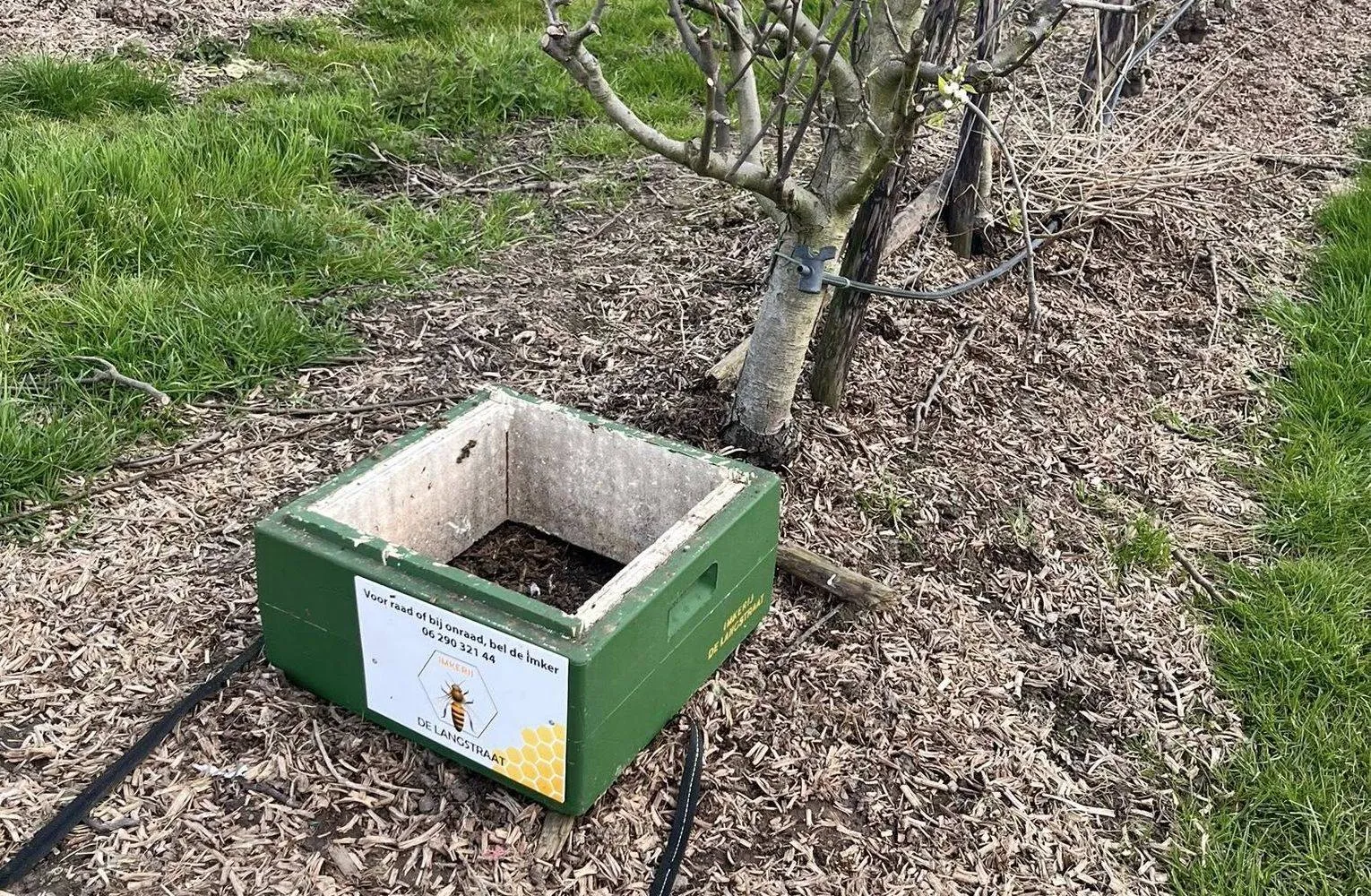 661207296_26253461244348205_4563737089568993756_n