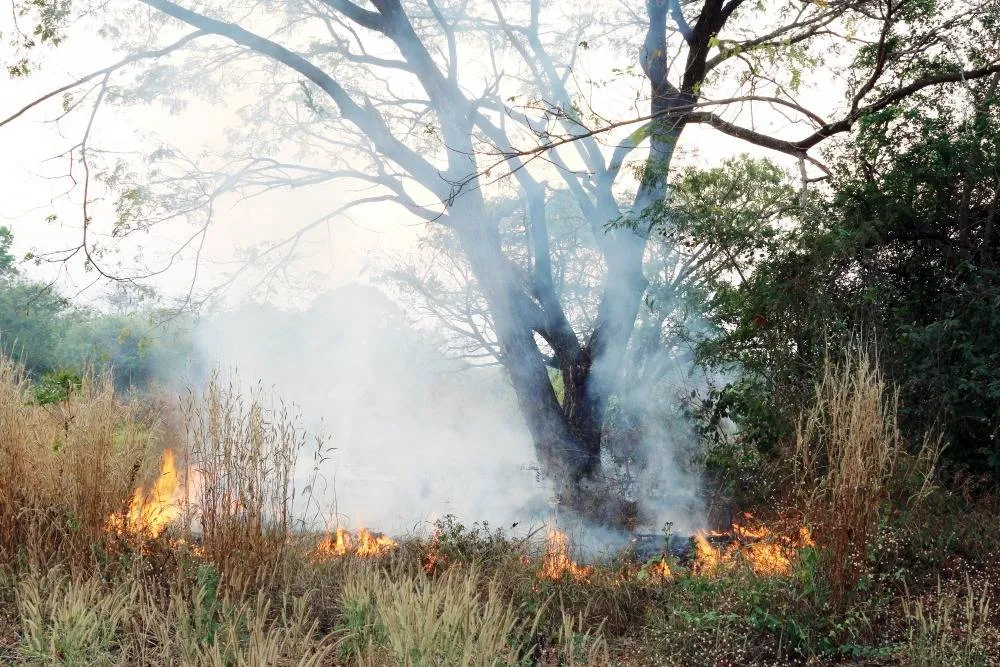 683211867_1411321104360493_3175914787630477310_n