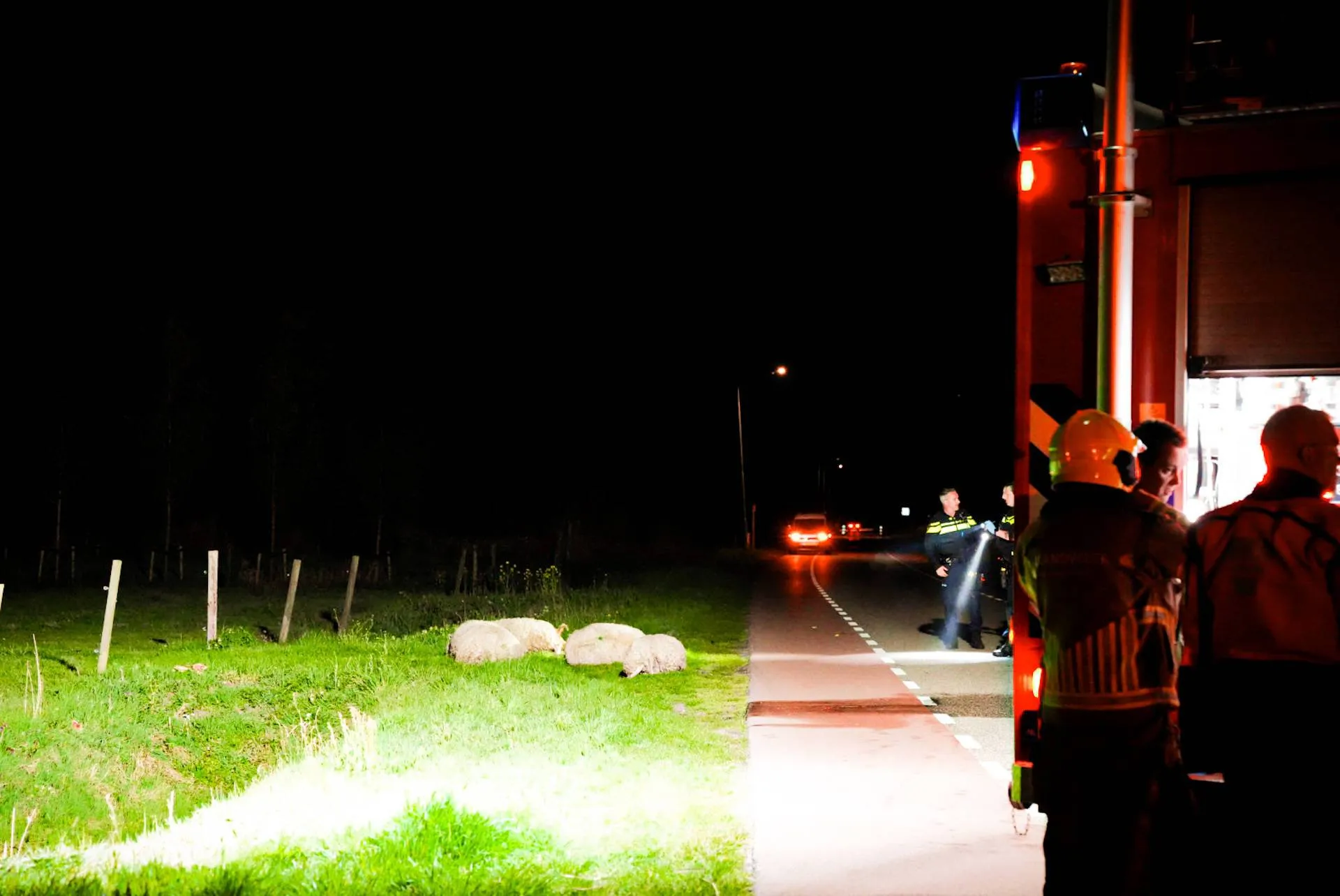 FPMB_SMALL_71C14AA6-BE57-48C3-92BA-8B24BF847FCB