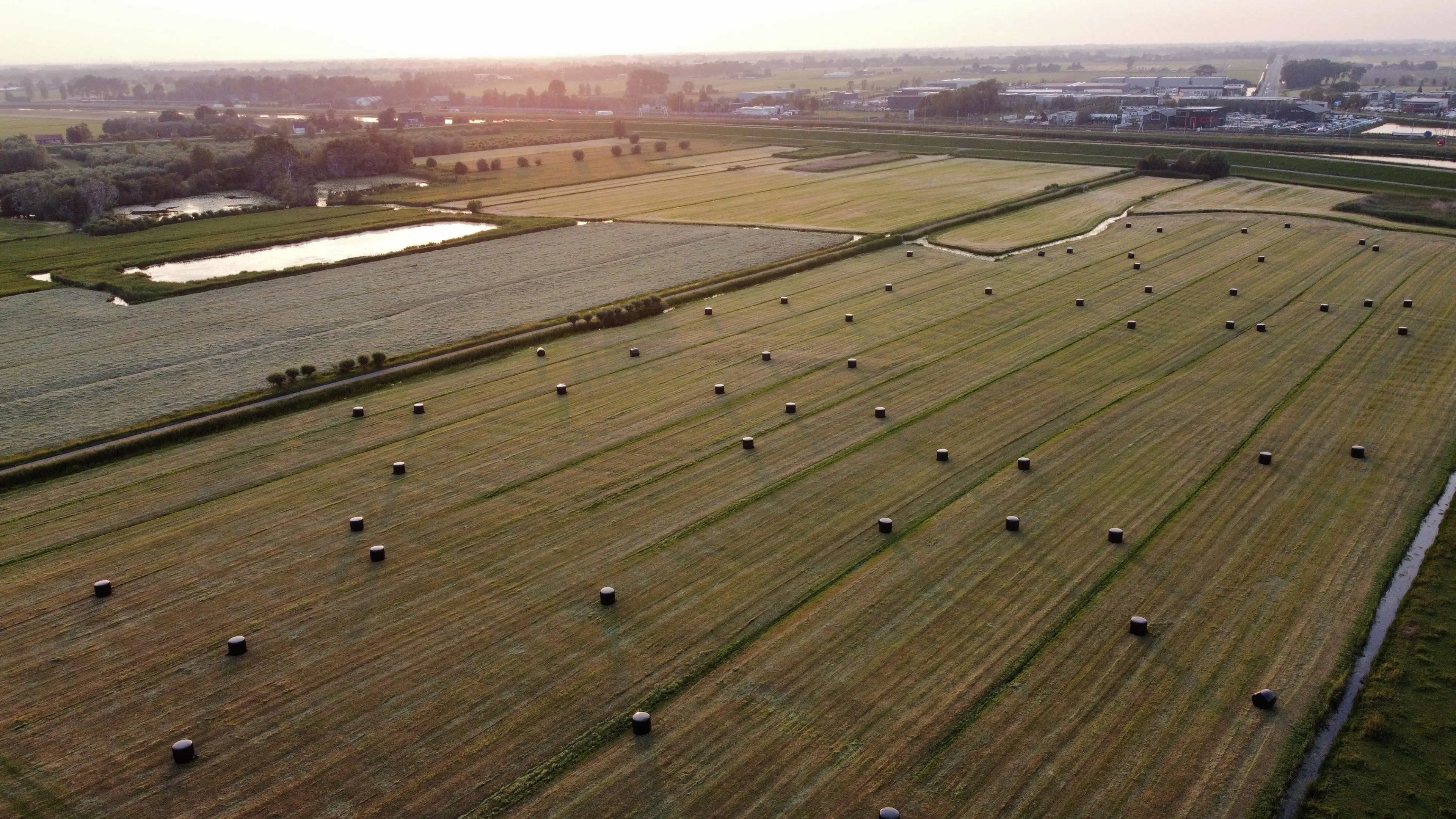 Veld
