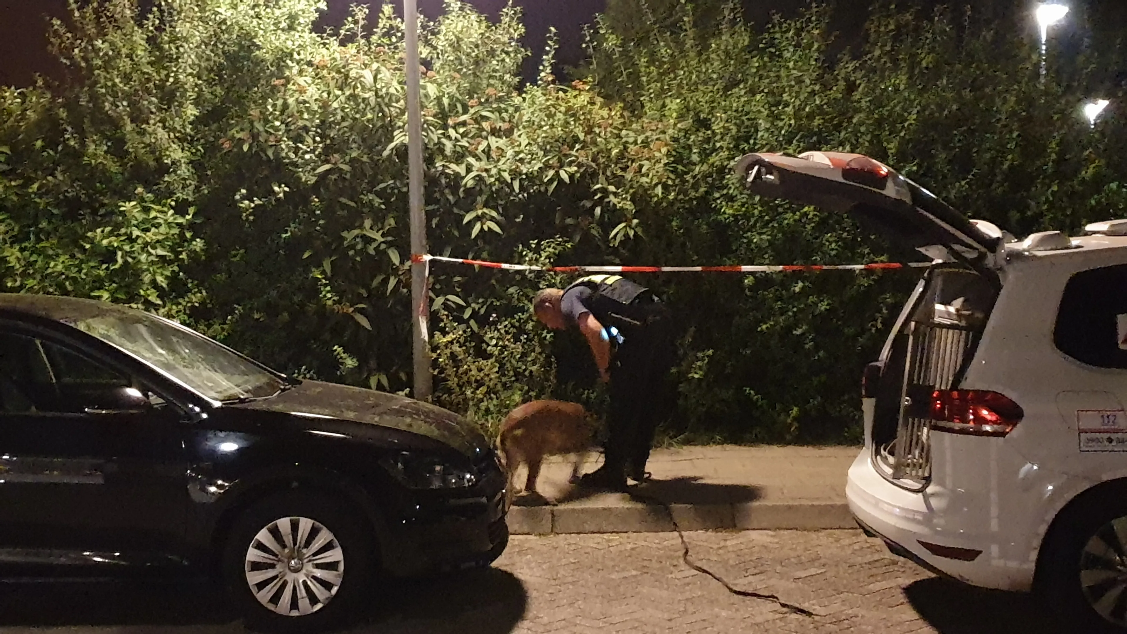 20190725 overval dame