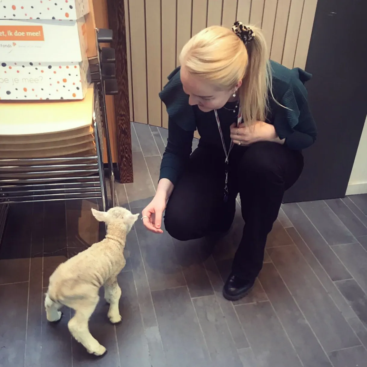 317a241e de95 4f16 a274 25008539b984