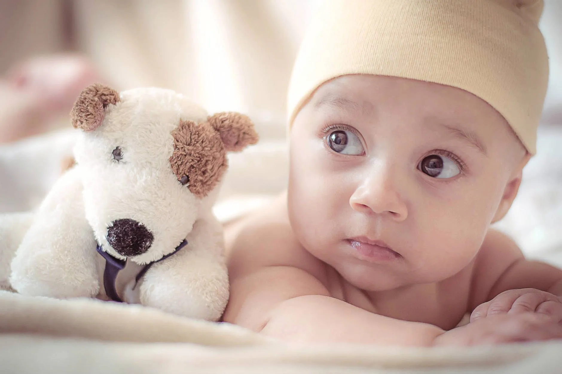 baby spencer selover pexels