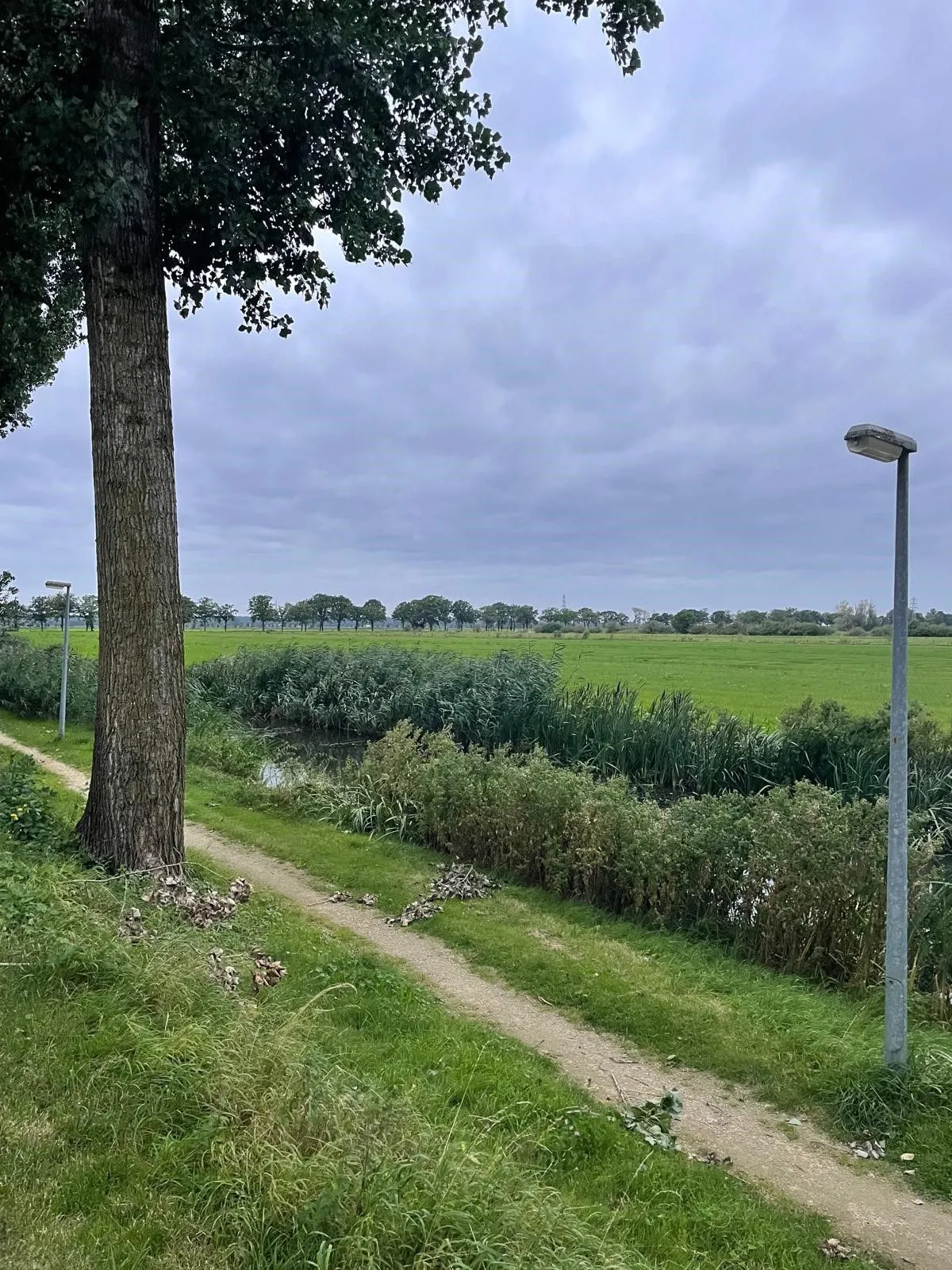 binnenveld