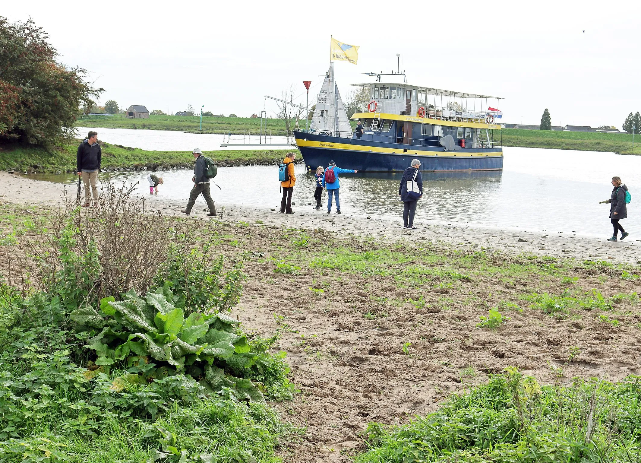 blauwe bever in blawe kamer 1