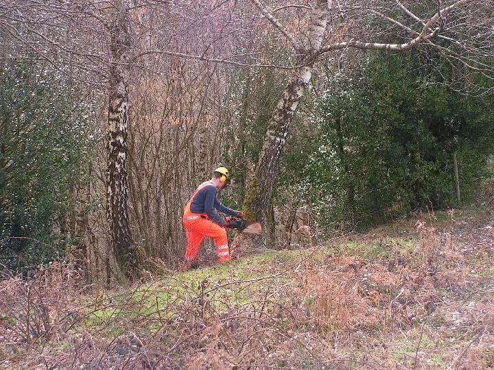 boom zagen rickon789 wikimedia