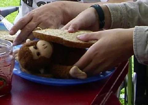 broodjeaap teunspaans