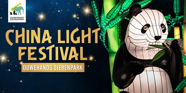 china light festival