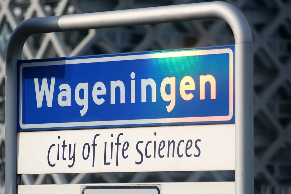city of science tonvandenborn pixaby