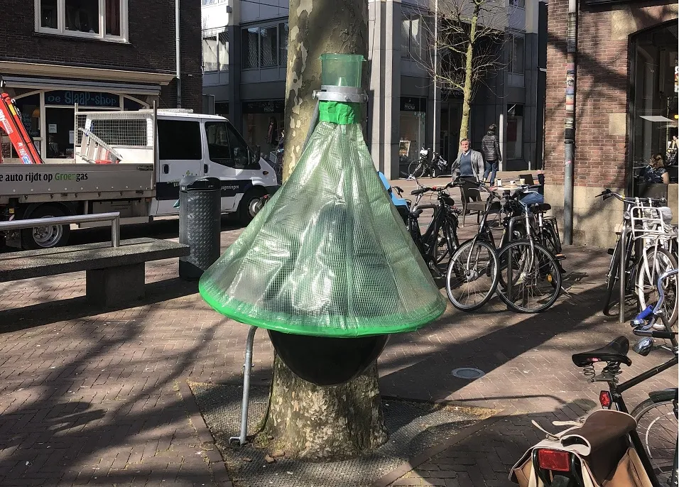 dazenval markt wageningen