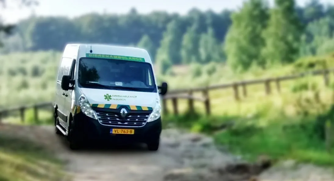 dierenambulance