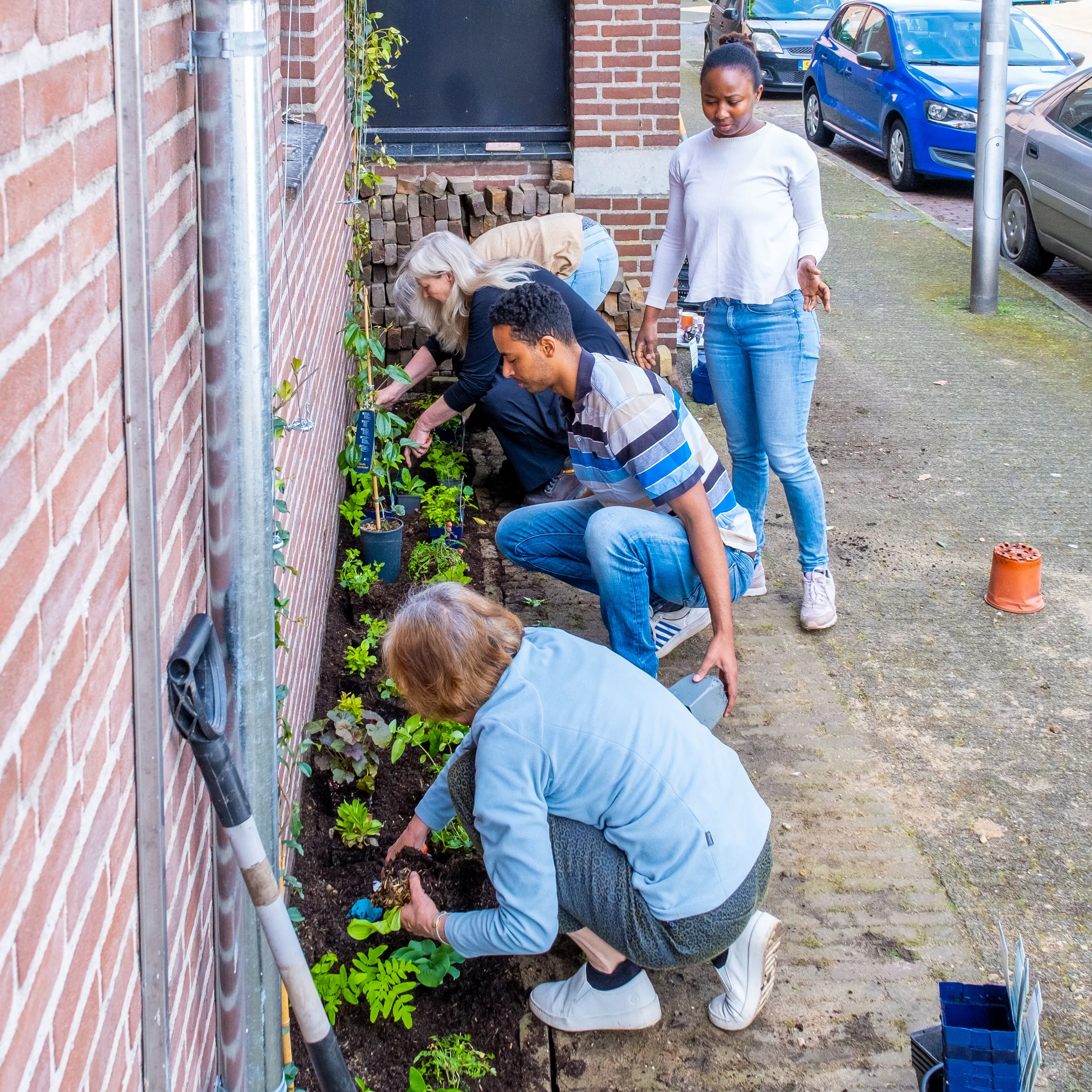 geveltuinendoedag2023 2