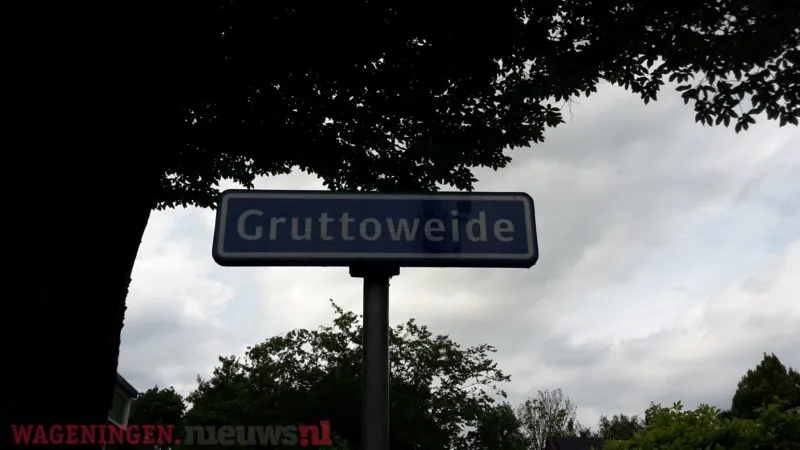 gruttoweide 2 e1497023794559