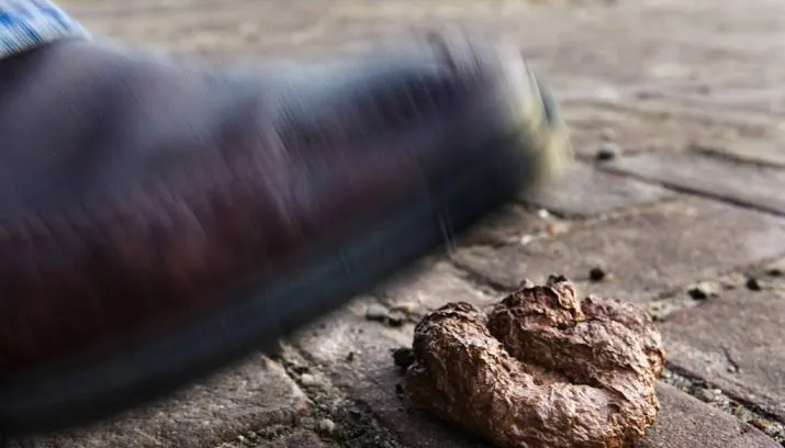 hardrijden en hondenpoep grootste ergernissen 715x408