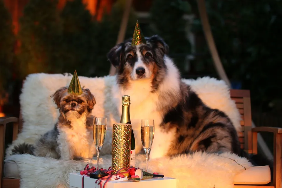 honden nieuwjaar markito pixabay