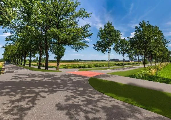 noordelijke inprikker