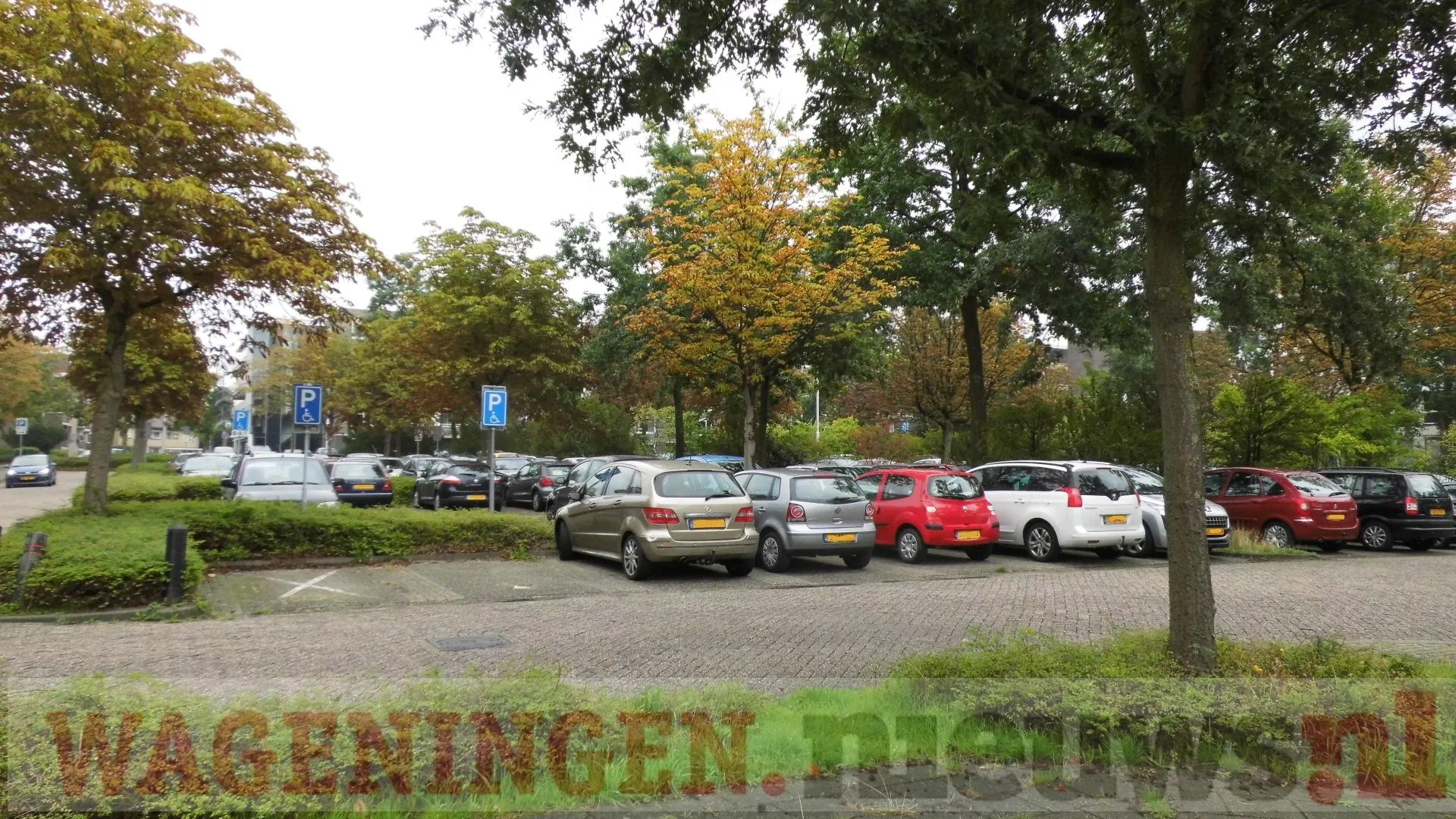 olympiaplein 1