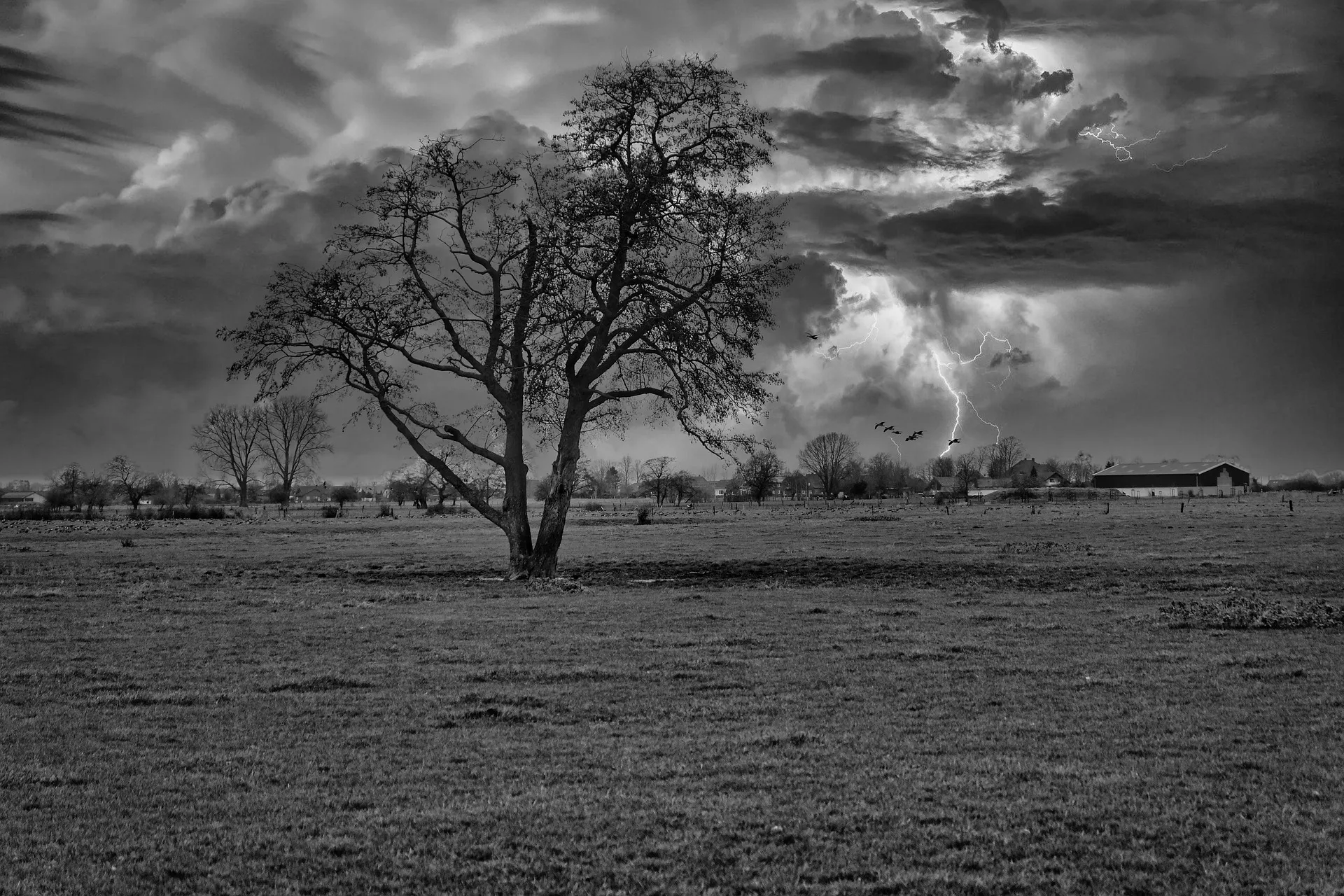 storm sinawa cc0 pixabay