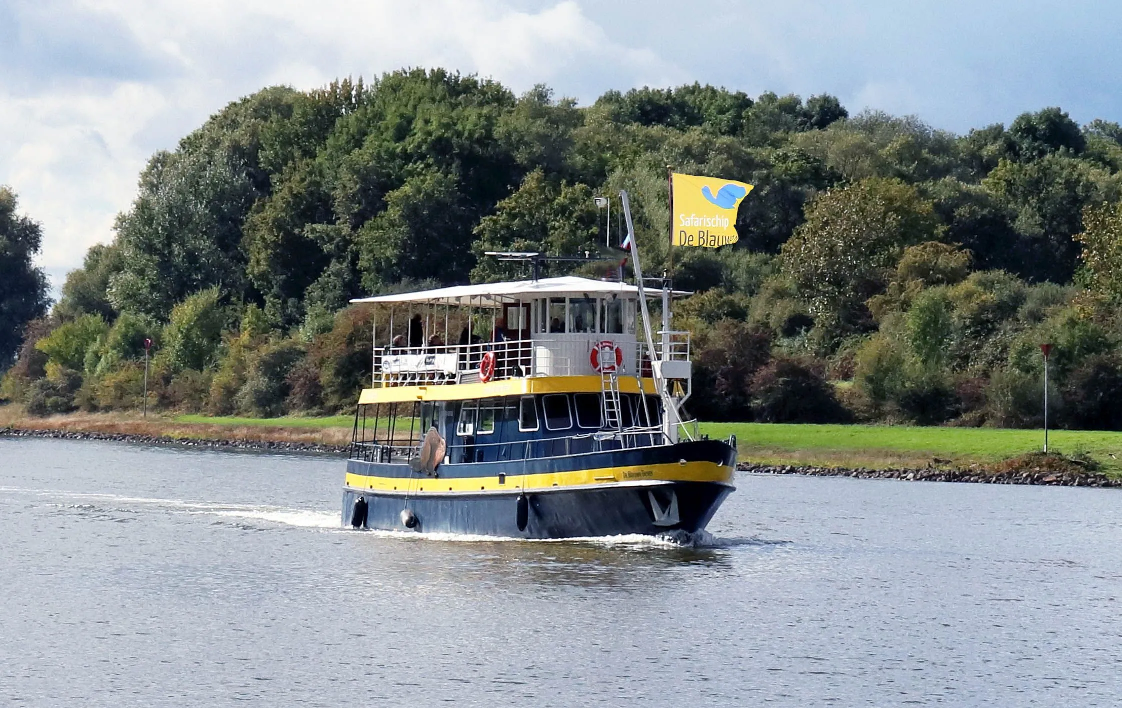 de blauwe bever op de rijn