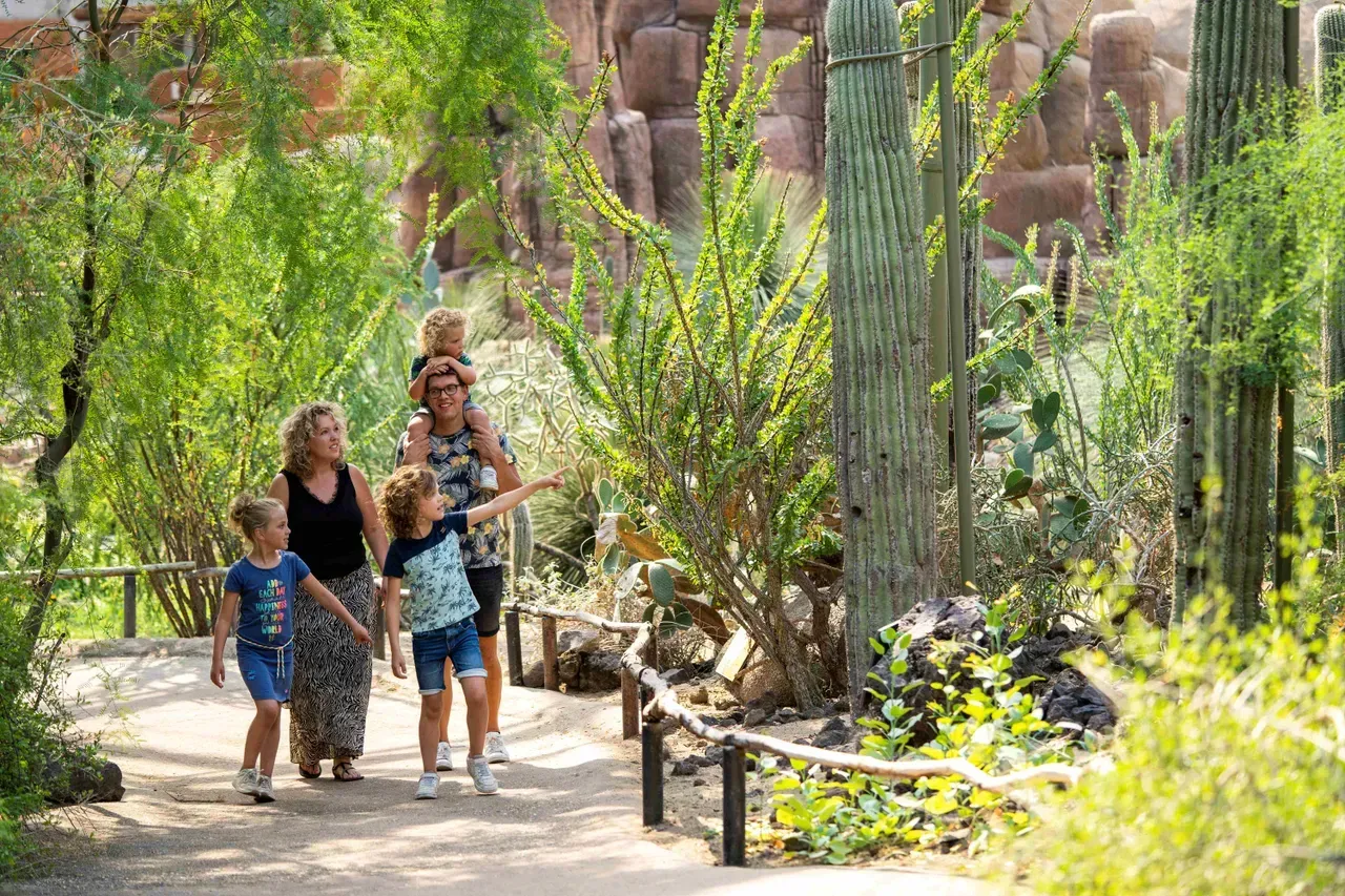 burgers desert 66fbd5781f5f7