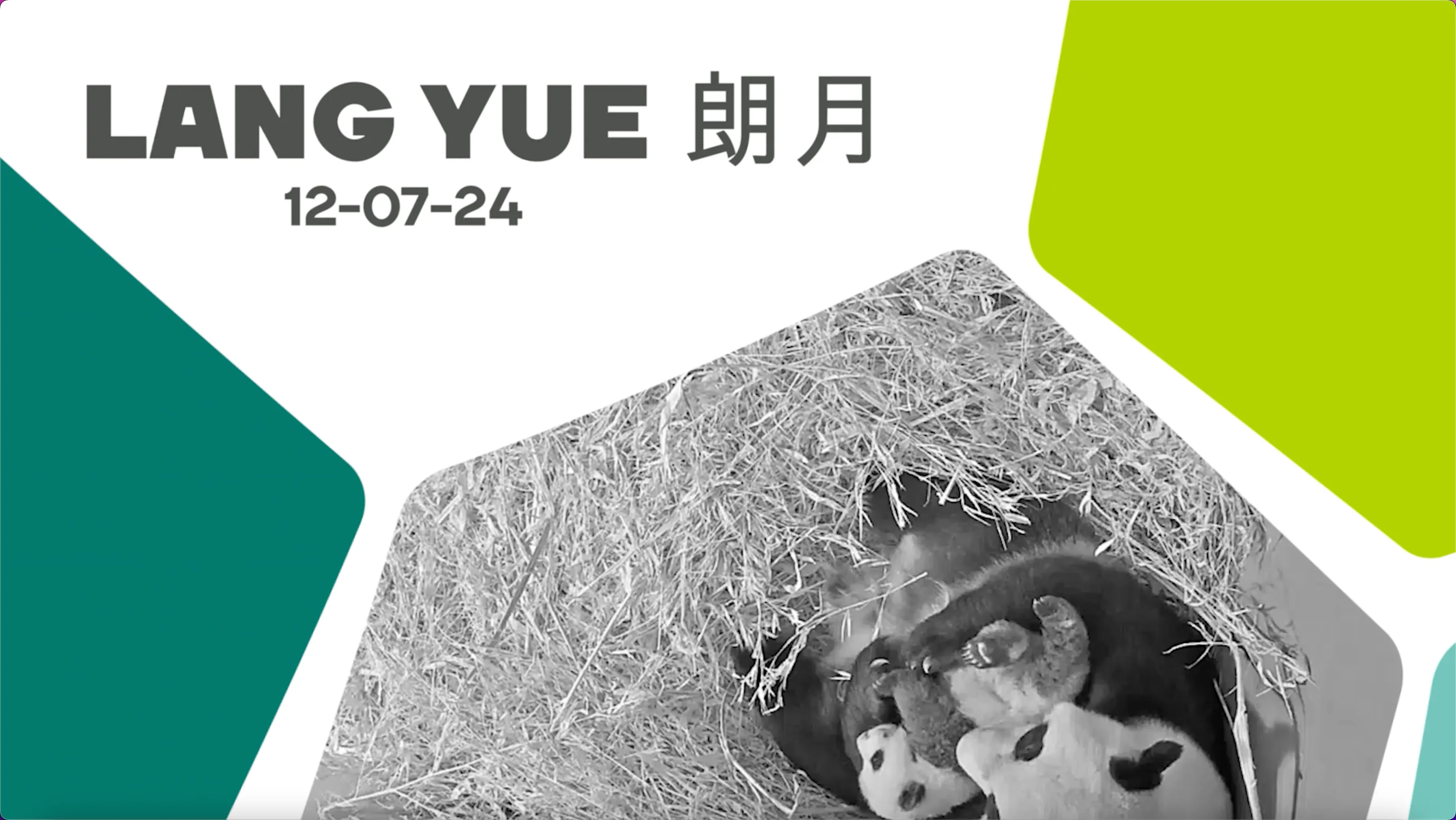 lang yue 120724