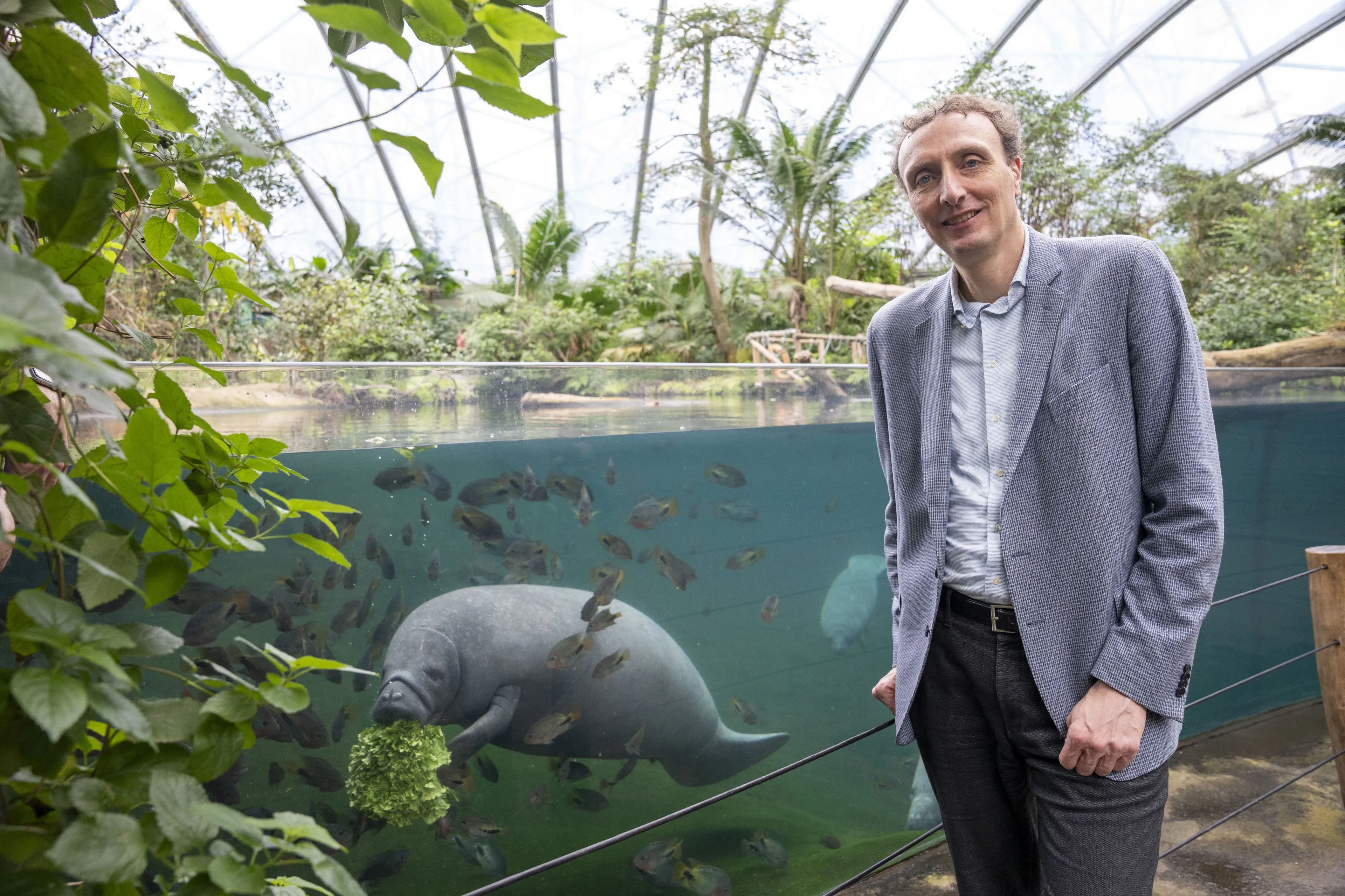 directeur alex van hooff in burgers mangrove foto mira meijer