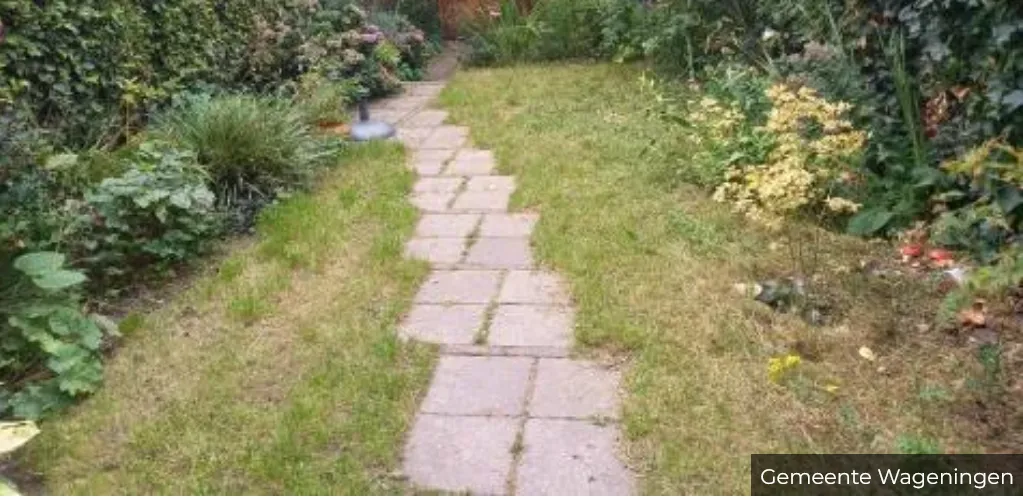 gratis tegeltaxi beschikbaar bij vergroenen tuingemeente wageningen