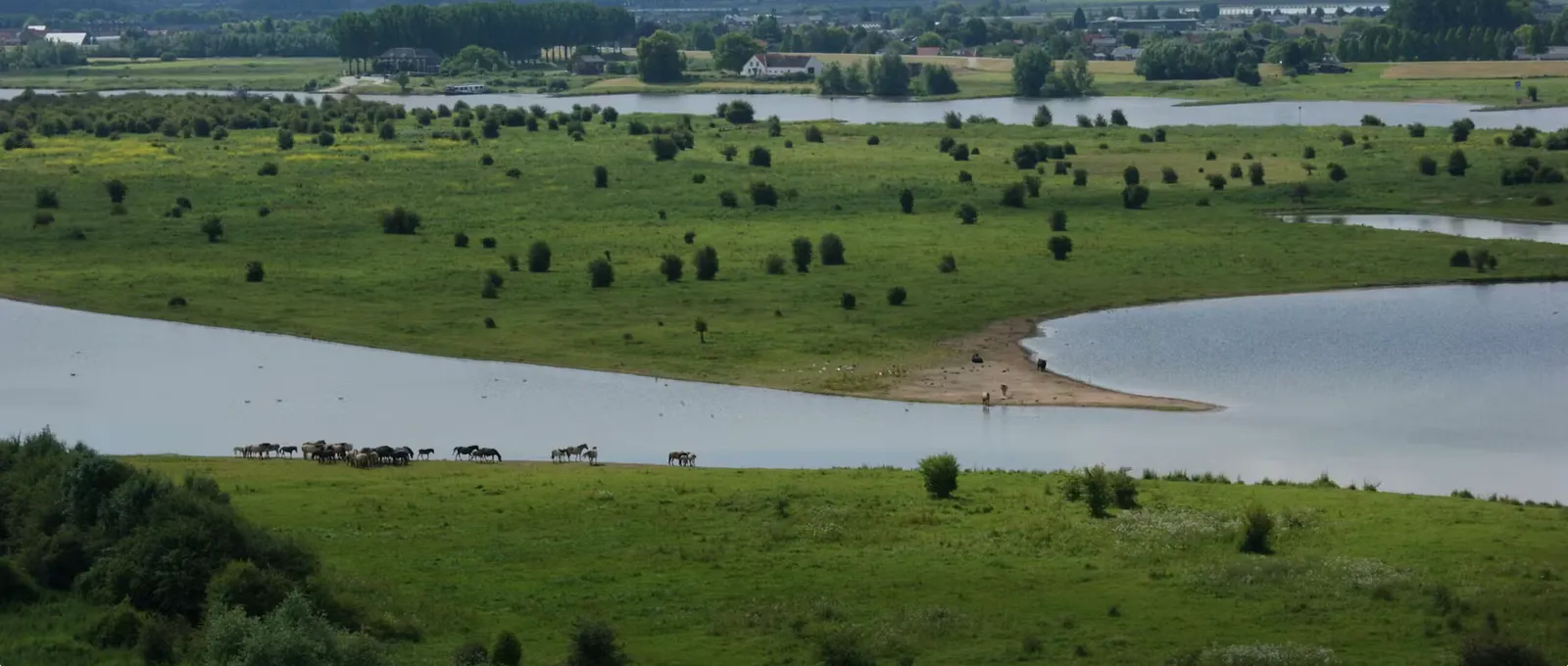 natuurwandeling blauwe kamer utrechts landschap
