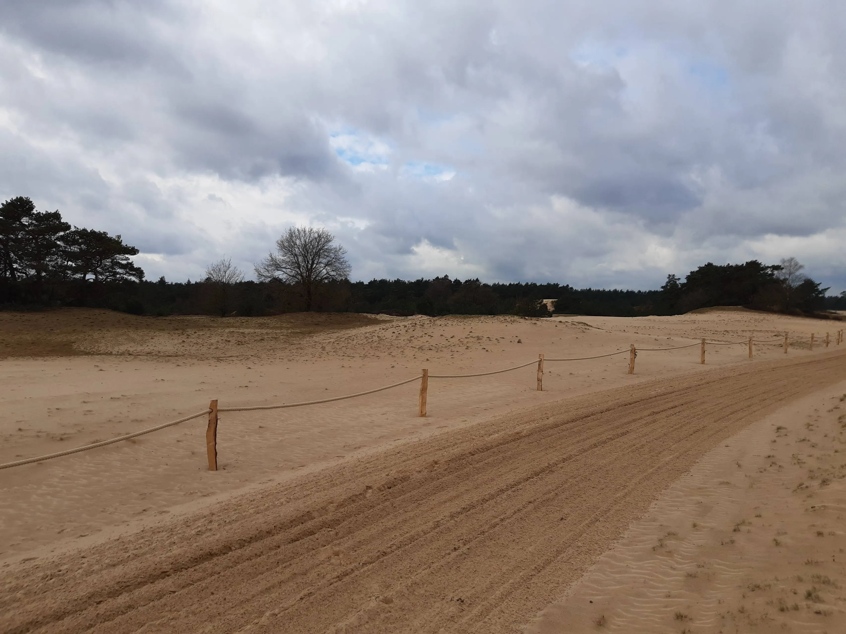 palen met touw kootwijkerzand c staatsbosbeheerjpg