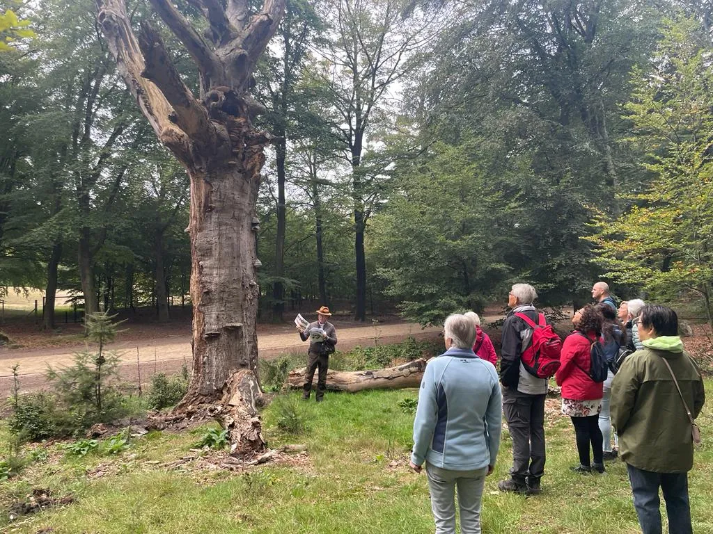 wandeluitdaging hoge veluwe2