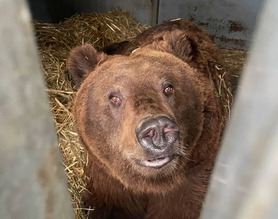beer ouwehand bears in mind