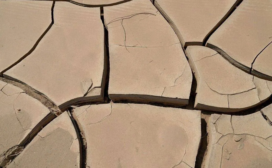 klimaatschade.Arnhem start als eerste gemeente met loket voor klimaatschade - Gemeente Arnhem