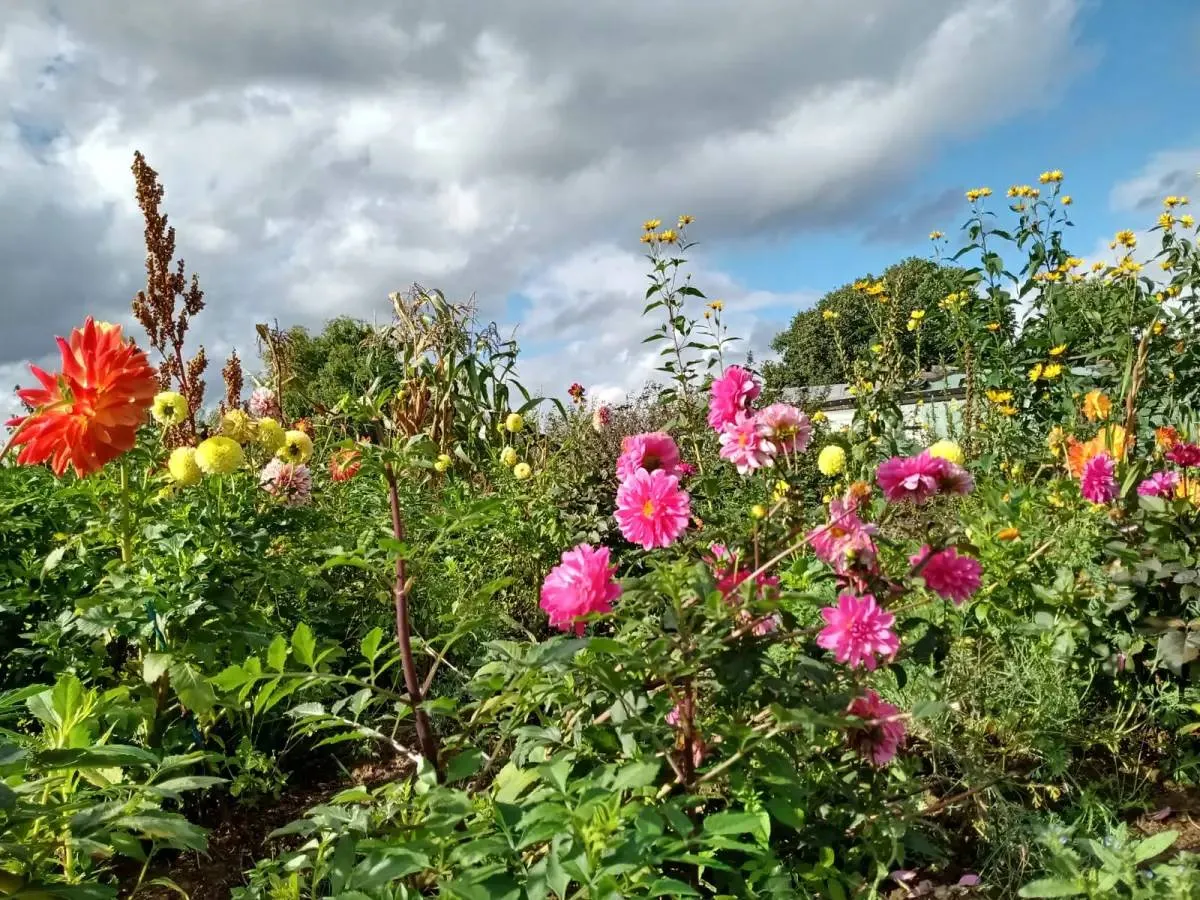 Heemtuin Creative garden