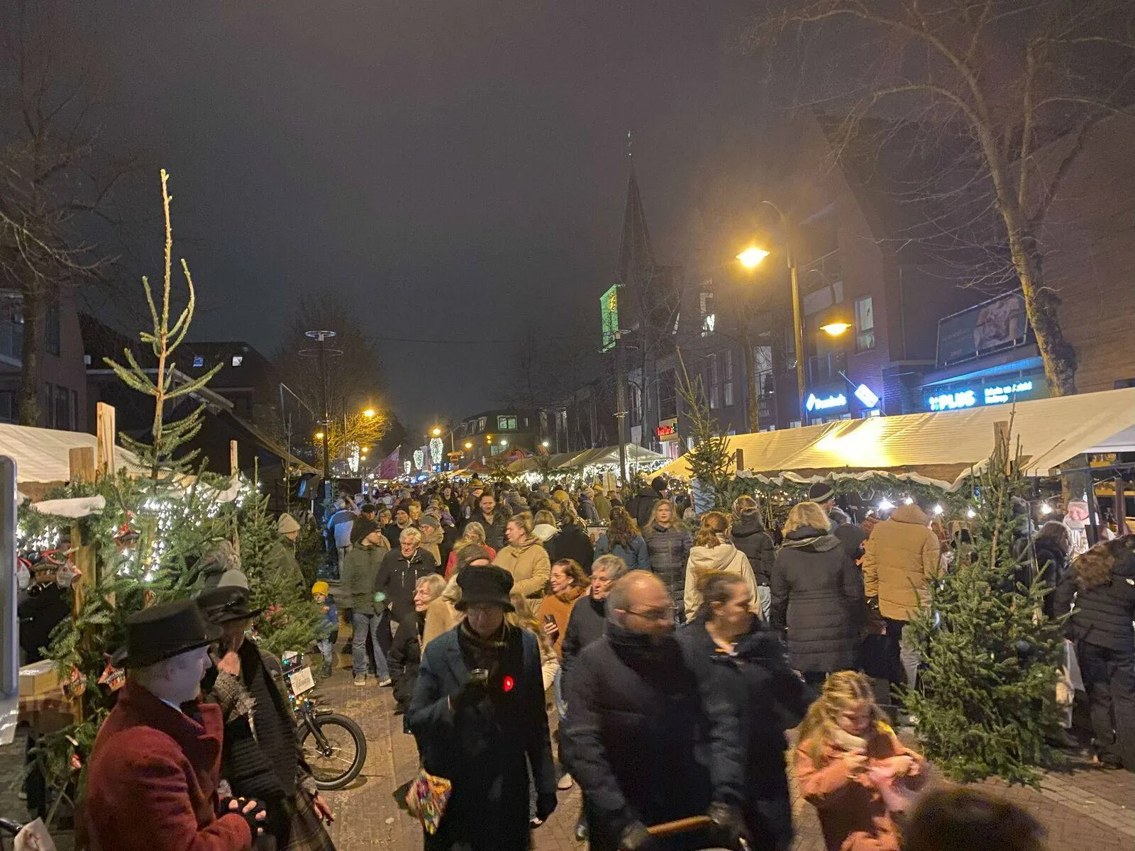 publiek Dickensfair Bennekom1