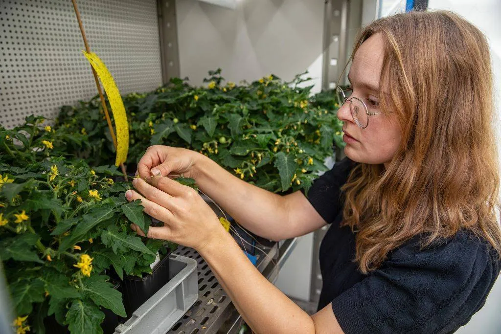 Nieuwe master Radboud Unv