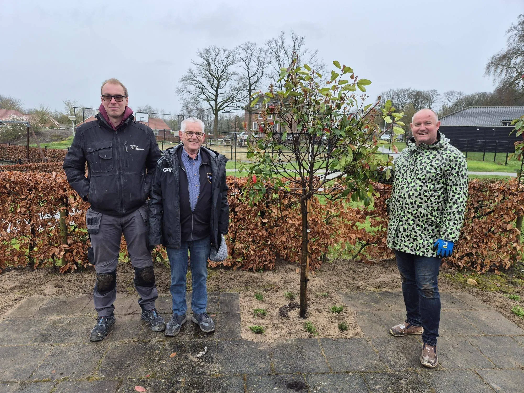 Zideris vrijwilligers plaatsen leilindes