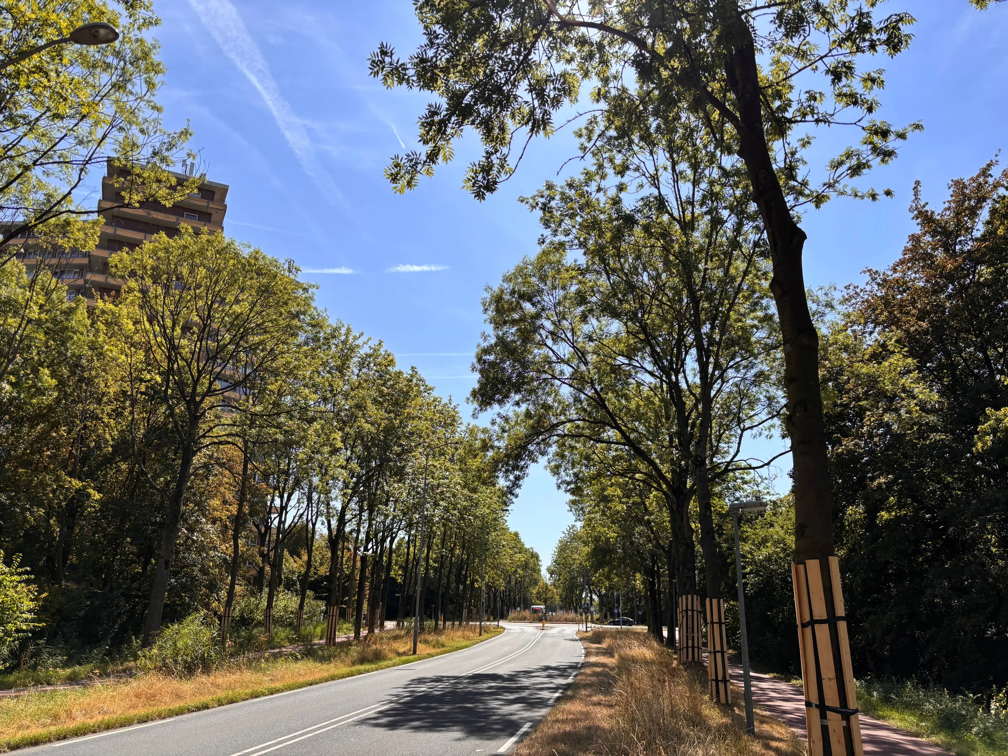 Werkzaamheden Lawickse Allee(1)