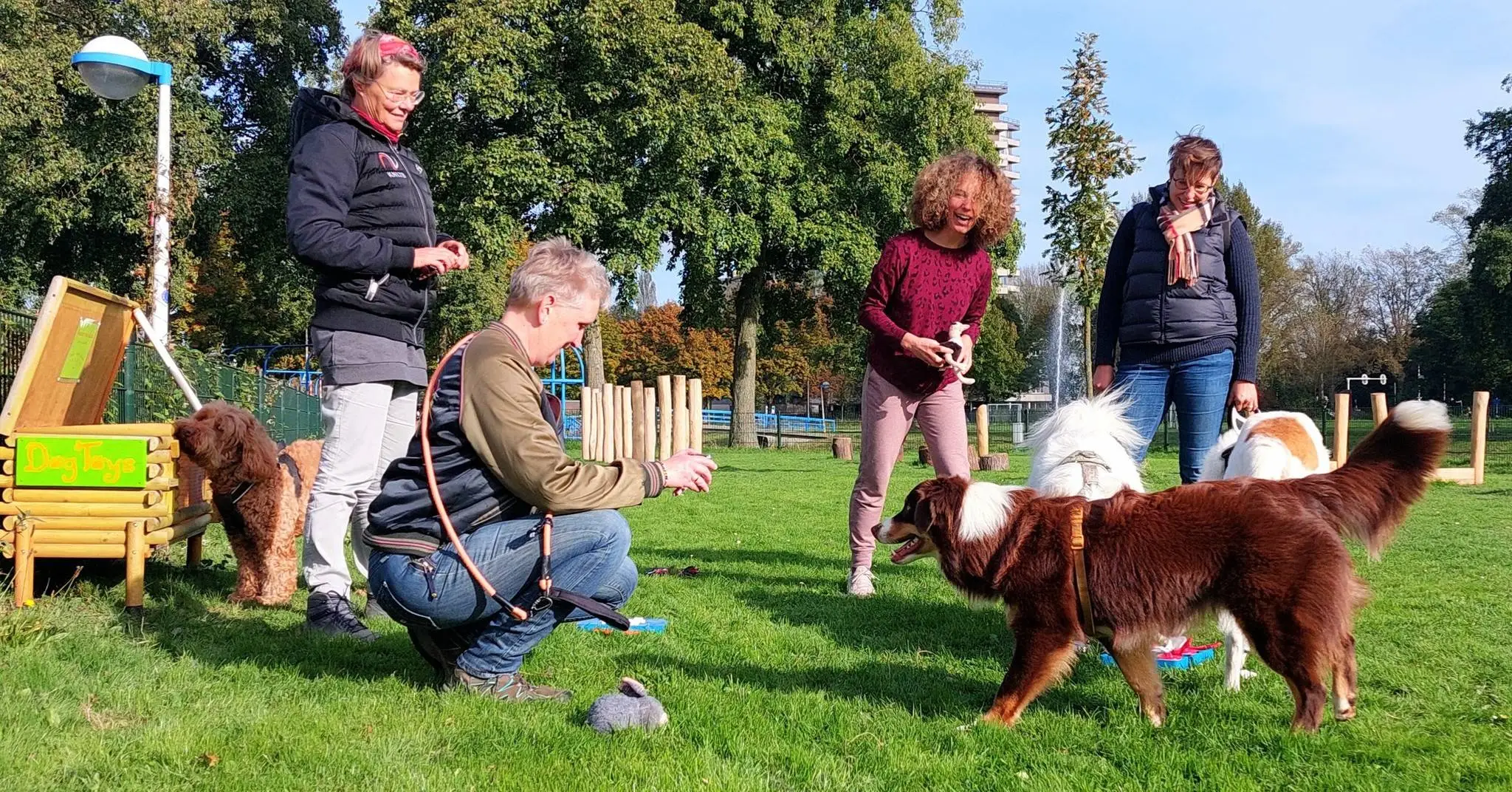 Hondenspeelplaats en minibied2_n