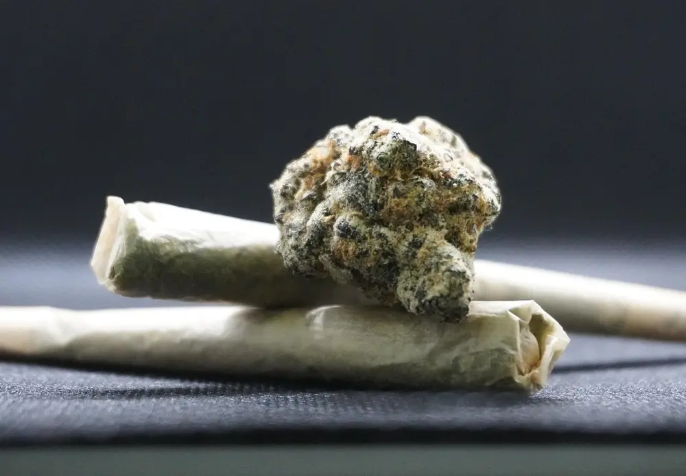 cannabis