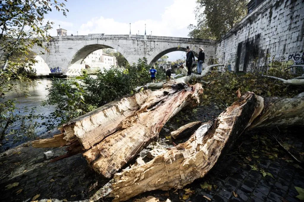 14 miljoen bomen getroffen bij noodweer italie1541274980