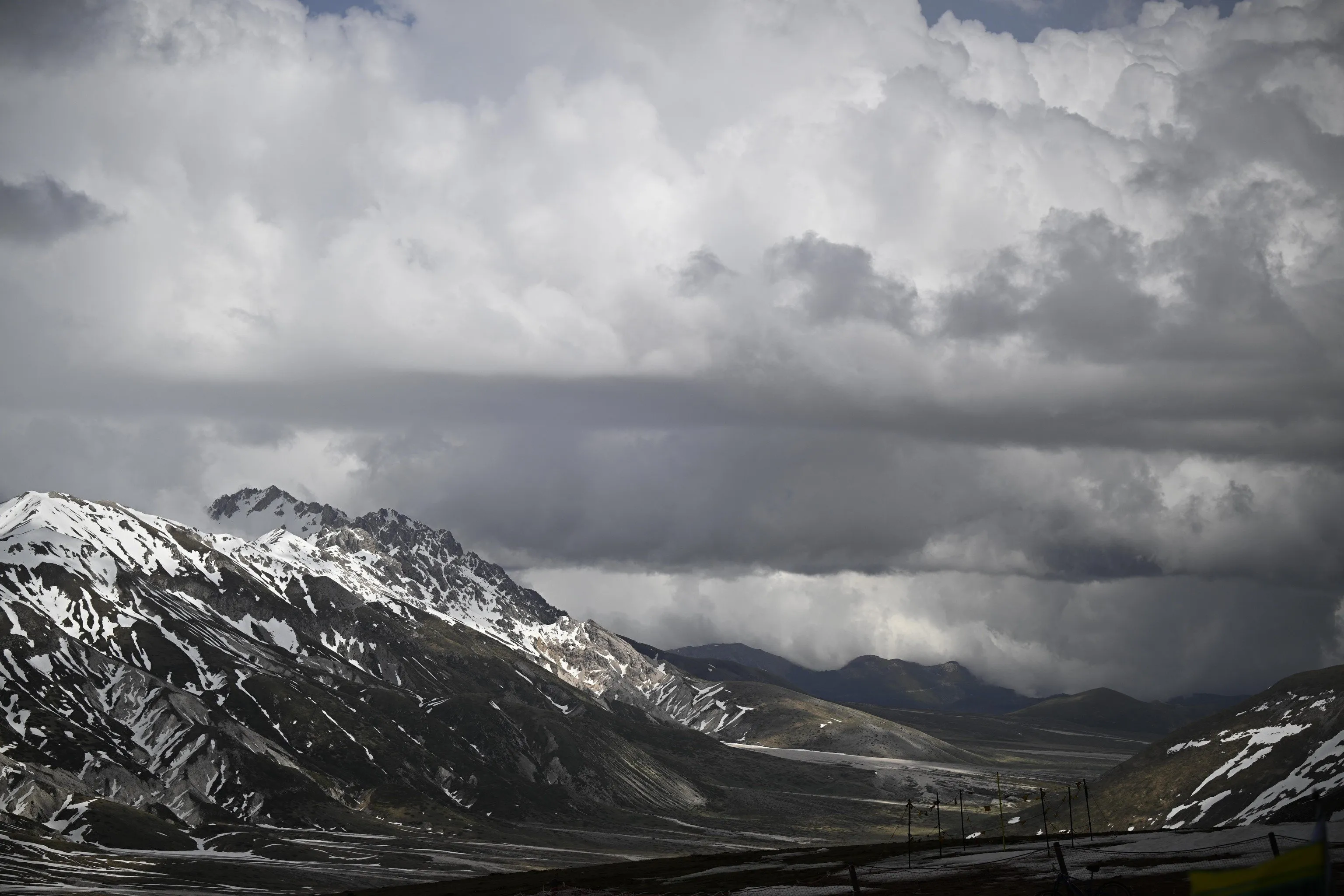 anp 469084927