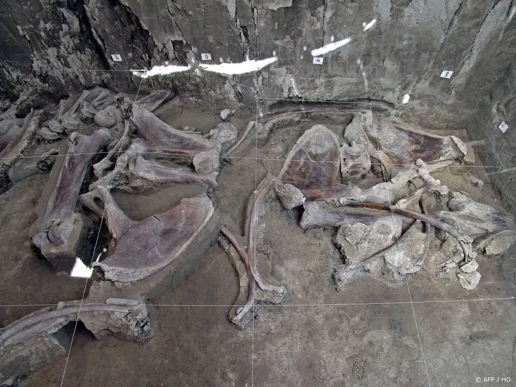 archeologen vinden mammoetvallen in mexico1573133763