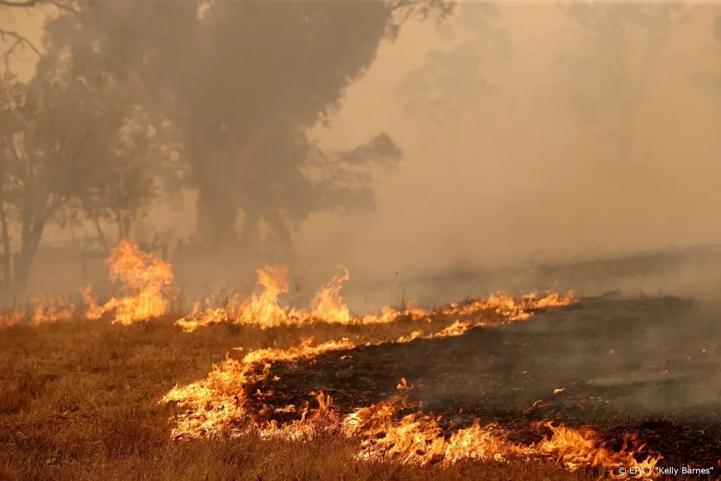 australie maakt 2 miljard dollar vrij voor wederopbouw na branden1578286564