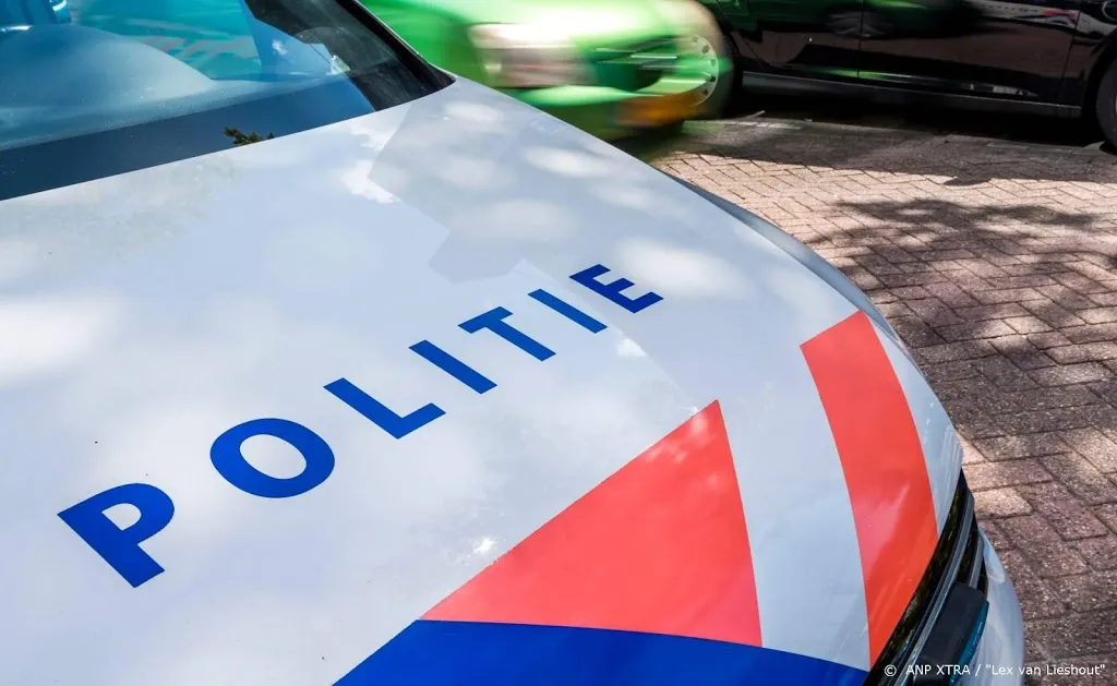 automobilist richt ravage aan in ede1573611844