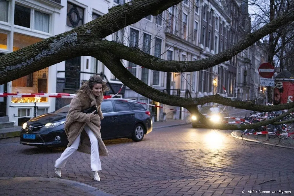 bijna heel het land heeft nu code groen in de avond weer wind1645261968