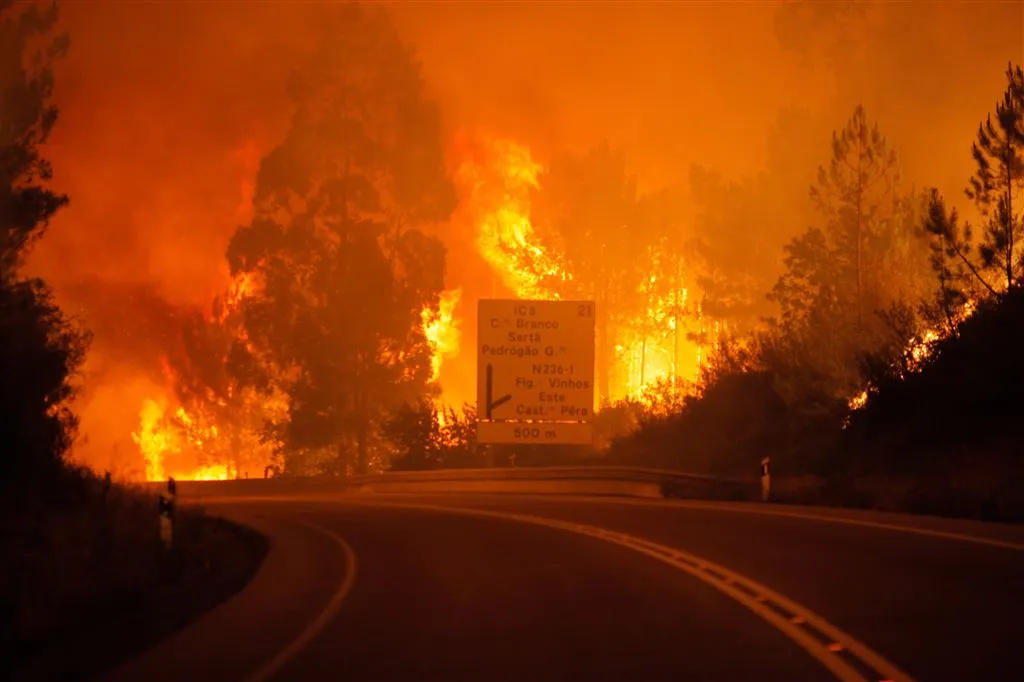 blikseminslag oorzaak bosbrand portugal1497780747