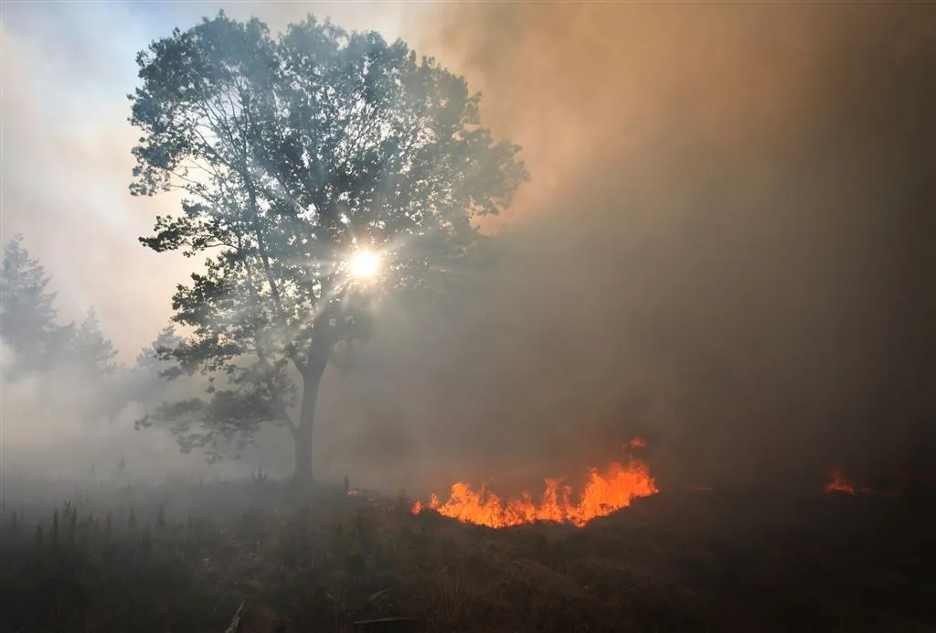 brand in bossen chaam laait weer op1432020966