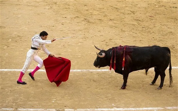 bullfighting 2563781b