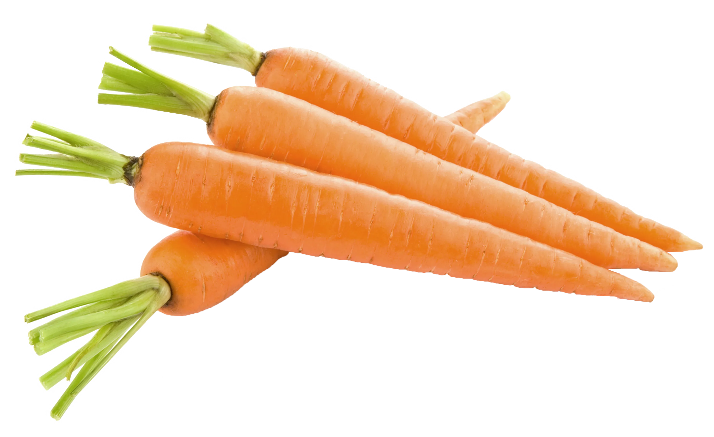 carrot png49852